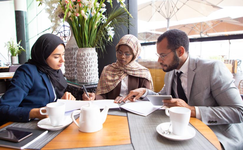 Understanding Multicultural Societies